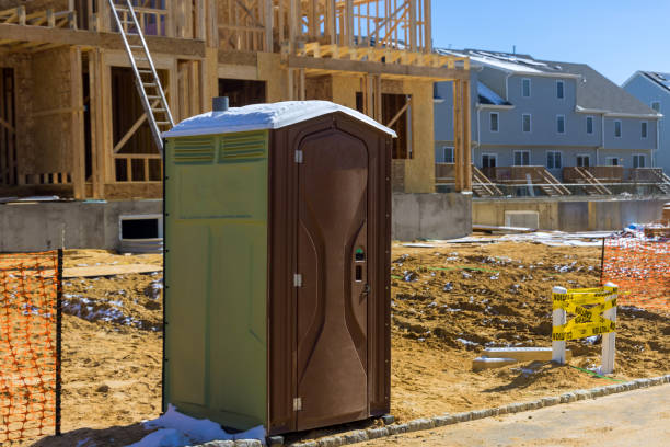 Best Porta potty cleaning services  in Rosenhayn, NJ